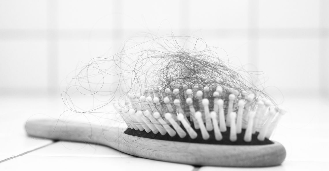 hair loss brush